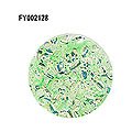 SONAIL　PLUS Lapisraviセレクト 極薄ホログリッター【jewel】 ペリドット FY002128