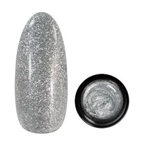 para gel　カラージェル G06 スーパーシルバー 4g