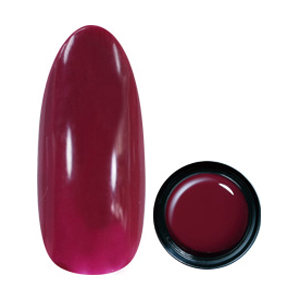 para gel　カラージェル Ｍ016 ボルドー 4g