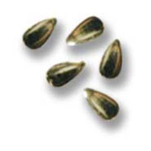 SHAREYDVA　スタッズ ドロップ ゴールド 2×1mm / 50P