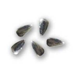 SHAREYDVA　スタッズ ドロップ シルバー 2×1mm / 50P