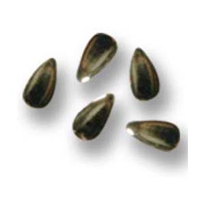 SHAREYDVA　スタッズ ドロップ ゴールド 3×2mm / 50P