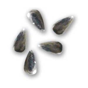 SHAREYDVA　スタッズ ドロップ シルバー 3×2mm / 50P