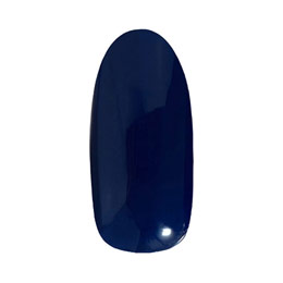 PREGEL　ミューズ インディゴネイビー PGU-M254 3g