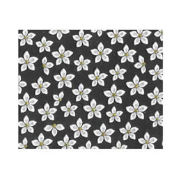 Deco Nail　ネイルシール N-70 サルサ パール