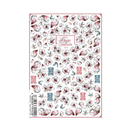 写ネイル　Pro カナエサクラ カナエサクラ カラー