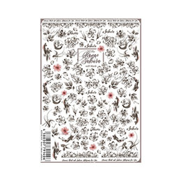 写ネイル　Pro カナエサクラ ソフトブラック