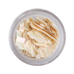 BEAUTY NAILER　プレミアムシリーズ シェルプレート PSP-2