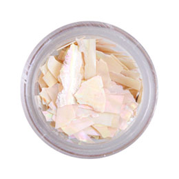 BEAUTY NAILER　プレミアムシリーズ シェルプレート PSP-3