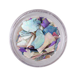 BEAUTY NAILER　プレミアムシリーズ シェルプレート PSP-5