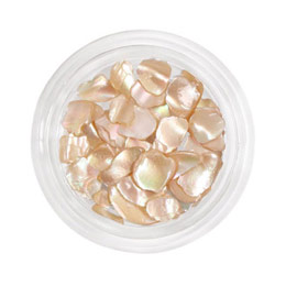 Bonnail　ブライドシェル ペールアプリコット