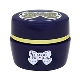 LEAFGEL PREMIUM　サンディングフリー+(プラス) 4g