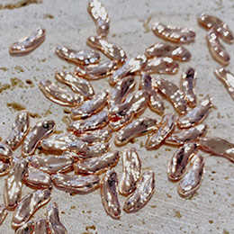 D.nail　ロングメタル S ピンクゴールド 10P