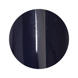 LEAFGEL PREMIUM　カラージェル 509 ミステール 4g N