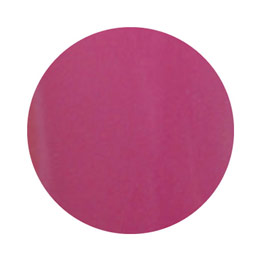 LEAFGEL PREMIUM　カラージェル 801 カシス 4g