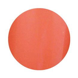 LEAFGEL PREMIUM　カラージェル 803 アプリコット 4g