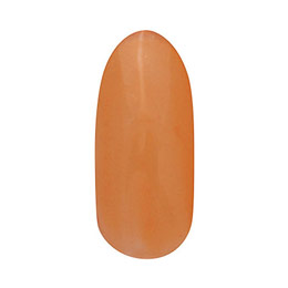 GELGRAPH　カラージェル 184C ノクターン 5g