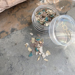 NOVEL　Reglisse flake fossil