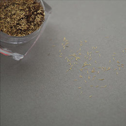 Bonnail　OTONA ligne (オトナ リーニュ) Lune (リュンヌ) SS