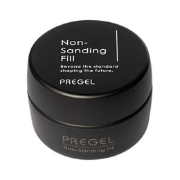 PREGEL　ノンサンディングフィル 20g