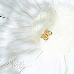 SONAIL　×effrontee ニュアンスアート・ミニョン プチ ゴールド FY002126