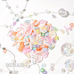 SONAIL　カラフルシェル Petal FY002322