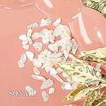 SONAIL　シャイニーテディ・シェルMIX ホワイト FY002319