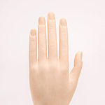 SHAREYDVA　プラクティスハンド スタンダード 左手