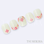 TSUMEKIRA　TSUKI プロデュース nude ＆ lip collection