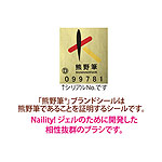 Naility!　PRO ジェルブラシフラット (熊野筆)