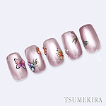 TSUMEKIRA　naomiプロデュース WORLD