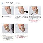 PREGEL　ノンワイプマットコート 12g