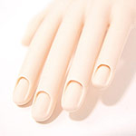 SHAREYDVA　プラクティスハンド スタンダード 左手